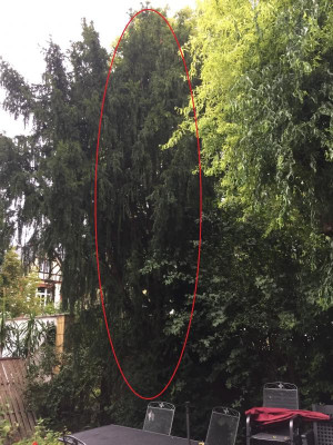 Kegel.jpg
