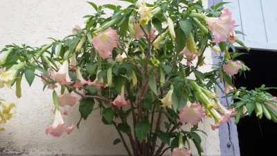 20170909_092635.jpg