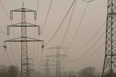 Baeume-im-Nebel-Feb07.jpg