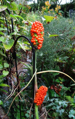 DSC03457.JPG