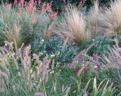 Blüte_090917.jpg