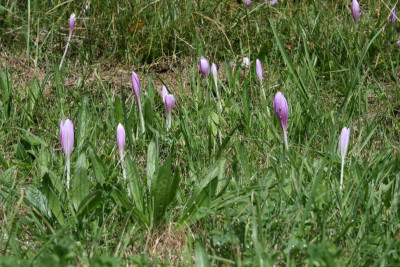 IMG_6340.JPG