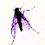 Avatar-Fliege.jpg