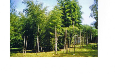 3001_001.jpg