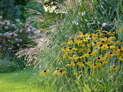 2017-09-14 Gartenimpressionen 4.jpg