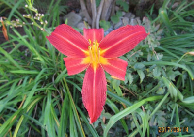 IMG_6182 small.jpg