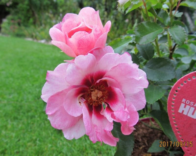 IMG_6188 small.jpg
