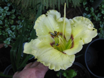 004_1024x768.JPG