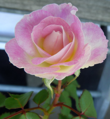 BfyxLRdDD7_0917_04_Seelsorger.JPG