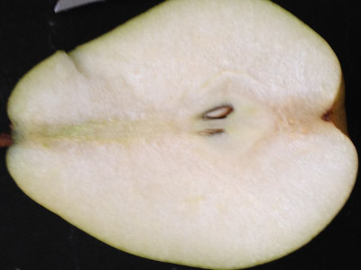 Bild 2.JPG
