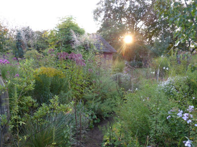 2017-09-22 Gartenimpressionen 2.jpg
