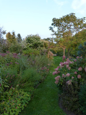 2017-09-22 Gartenimpressionen 3.jpg