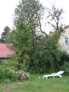 Wilde_Ecke_1_1.JPG