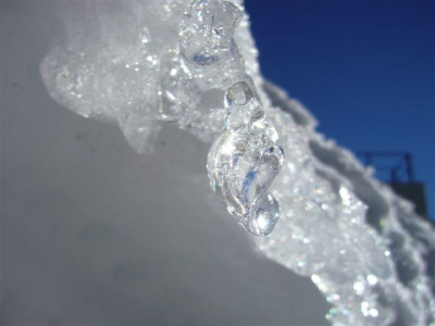 04.02.2007_1.JPG