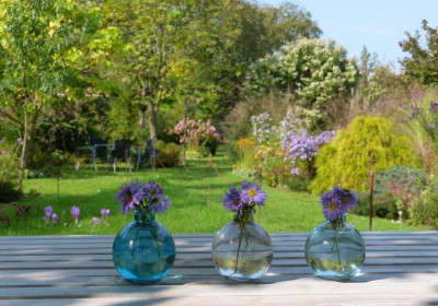 2017-09-25 Gartenimpressionen.jpg