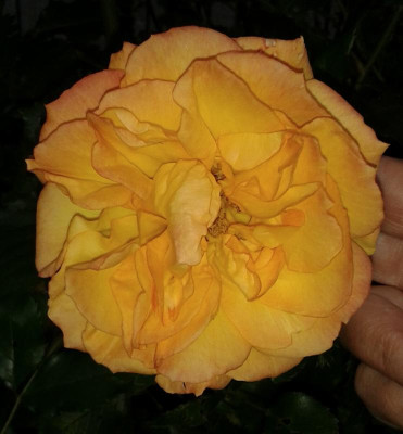 photo_editor_1506408081375.jpg