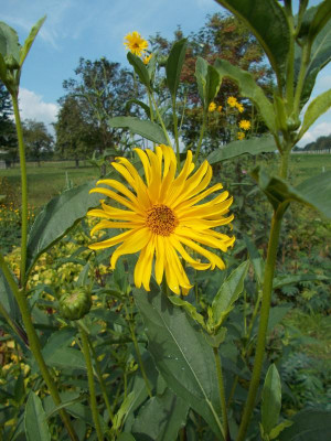 2017-09-03 11.25.54.jpg
