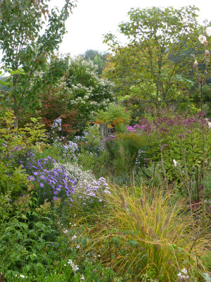 2017-09-28 Garteneinblick 7.jpg