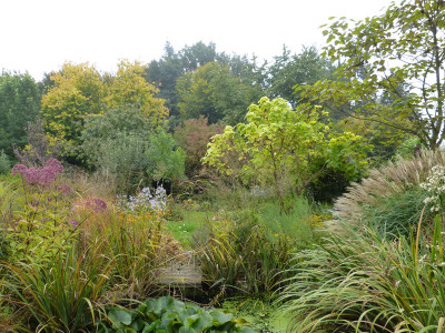 2017-09-28 Garteneinblick 5.jpg