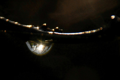 Glitzertropfen-boga.jpg