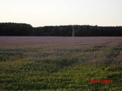DSCI1285.JPG