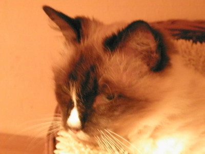 P9300084.JPG