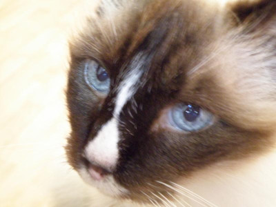 PA010114.JPG