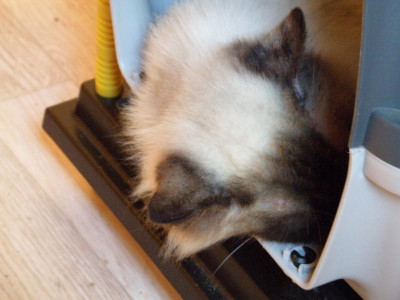 PA010120.JPG