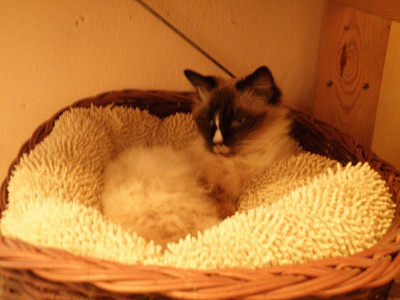 PA010090.JPG