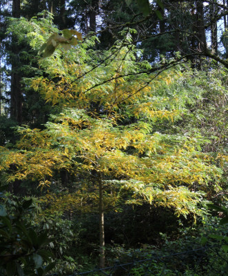 IMG_ß881.jpg