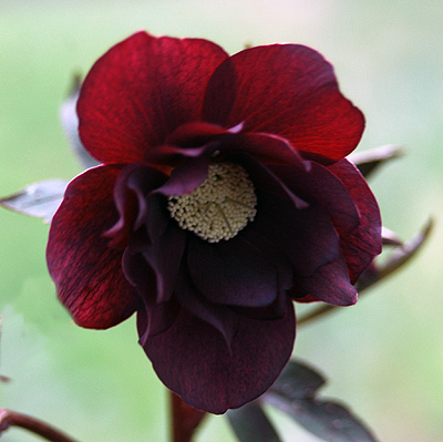 P7609.jpg