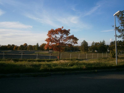 Steinschüttungen Feuerbacher Heide 022.JPG