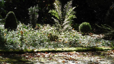 DSCN0925.JPG