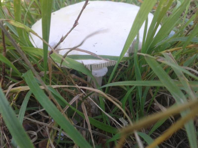 20171001_154324.jpg