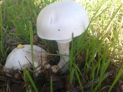 20171001_154310.jpg
