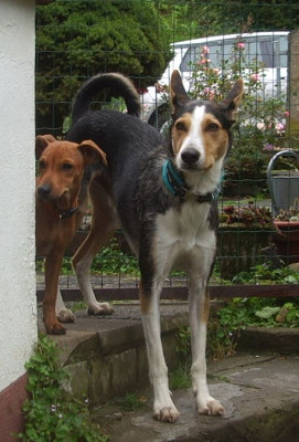 Matthi und Kibo 1.jpg