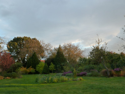tg_171003_3.jpg
