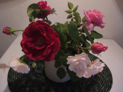 oktoberrosen.img.JPG