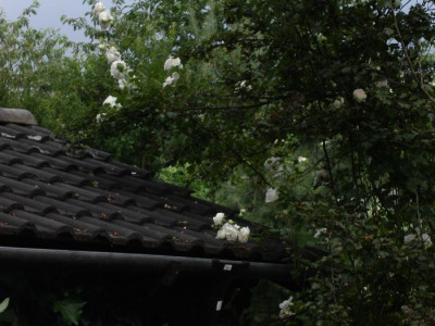Sebastian_Kneipp_im_rotdorn_700x525.jpg