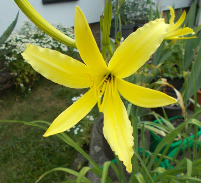 2017-06-30 10.38.51.jpg