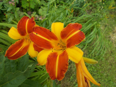 2017-07-01 09.55.47.jpg