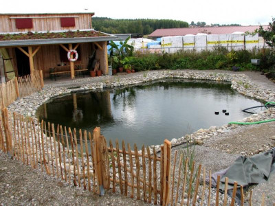 Teich05.Okt.jpg