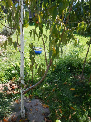 DSCN3114.JPG