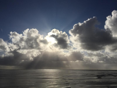 25D52AD6-502E-435C-BE17-D9F6B06E39F9.jpeg