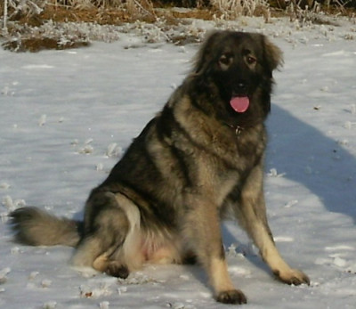 10_Shara_A.Schnee.jpg