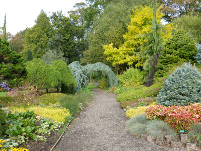 2017-10-02 Bressingham Gardens 2.jpg