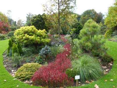 2017-10-02 Bressingham Gardens 20.jpg