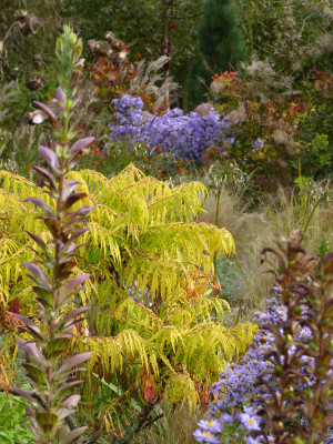 2017-10-02 Bressingham Gardens 23.jpg