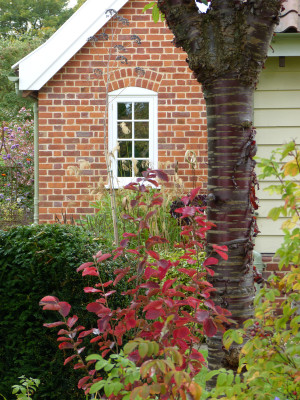 2017-10-02 Privatgarten 7.jpg