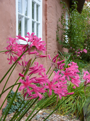 2017-10-02 Privatgarten 12.jpg